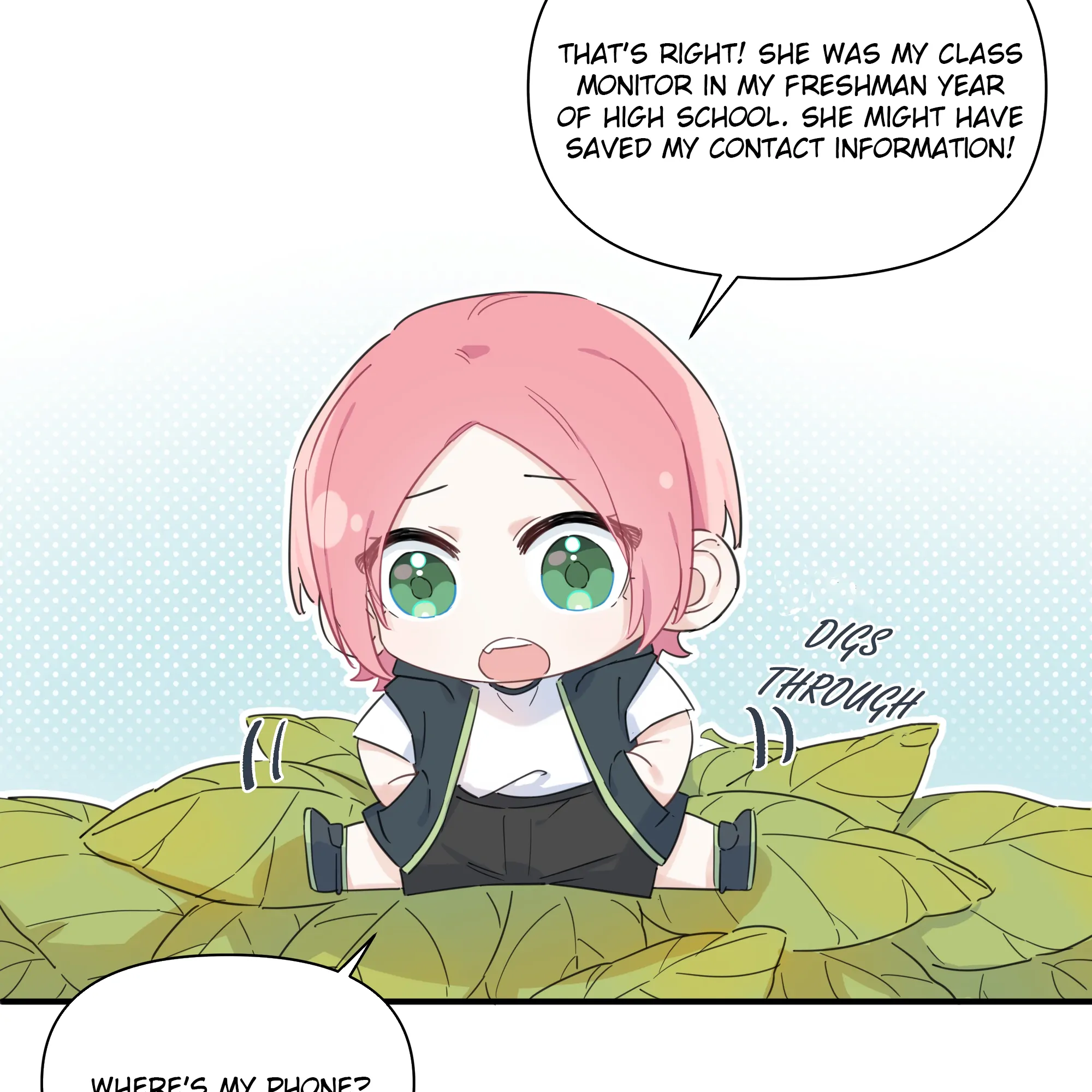 Page 43